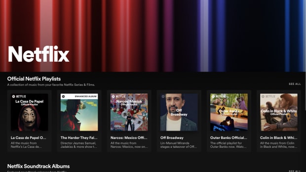 Spotify Netflix Hub Partnership